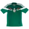 Retro Mexico Home Jersey World Cup 2014
