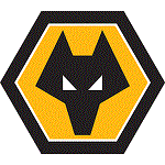 Wolves - Flux Jersey