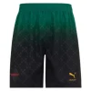 AC Milan Fourth Shorts 2024/25