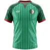 Algeria Away Jersey World Cup 2026
