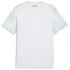 Austria Away Jersey 2026