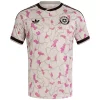 Chile Away Jersey World Cup 2026