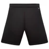 Argentina Away Soccer Shorts 2026（1）