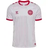 Denmark Away Jersey World Cup 2026