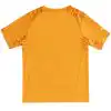 Retro Ivory Coast Home Jersey World Cup 2014