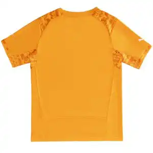 Retro Ivory Coast Home Jersey World Cup 2014
