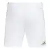 Celtic Home Jersey Kit 2026/27