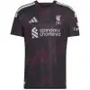 Liverpool Third Match Jersey Player Version 2026/27