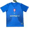 SE Palmeiras Third Jersey 2026