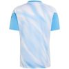 Argentina x Messi Farewell Anniversary Pre-Match Jersey 2026