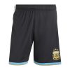 Messi #10 Argentina x Messi Farewell Anniversary Jersey Kit 2026