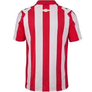 PSV Eindhoven Coen Dillen Special Jersey 2026/27 - back view